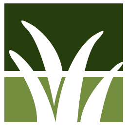 Fall Leaf Clean Up Service Pros
