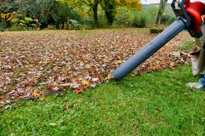 Fall Leaf Clean Up Service
