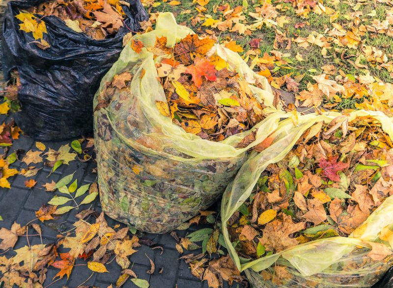 Fall Leaf Clean Up Service