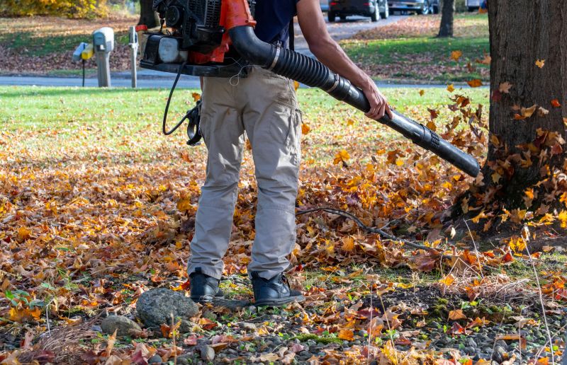 Fall Leaf Clean Up Service