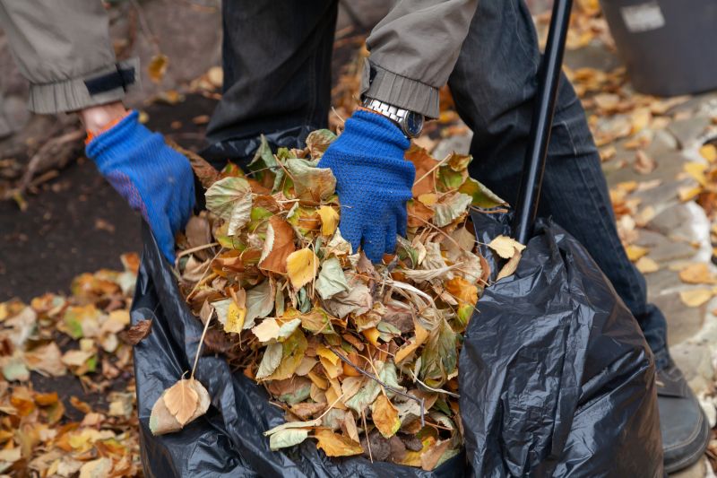 Fall Leaf Clean Up Service