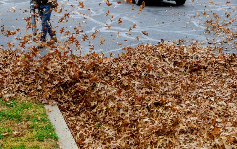 Fall Leaf Clean Up Service