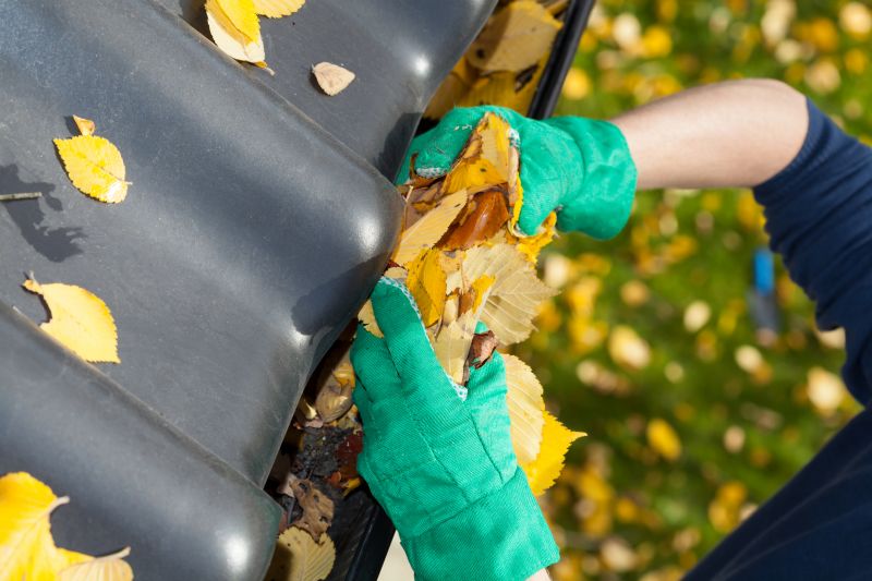 Gutter Clearing in Fall