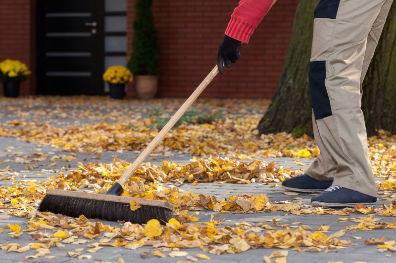 Fall Leaf Clean Up Service