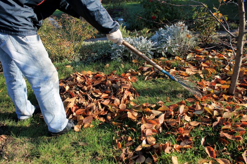 Fall Leaf Clean Up Service