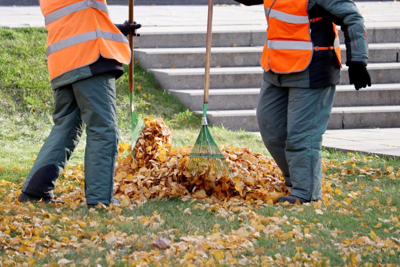 Fall Leaf Clean Up Service