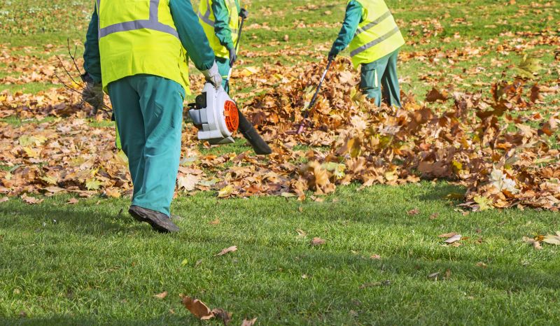 Fall Leaf Clean Up Service