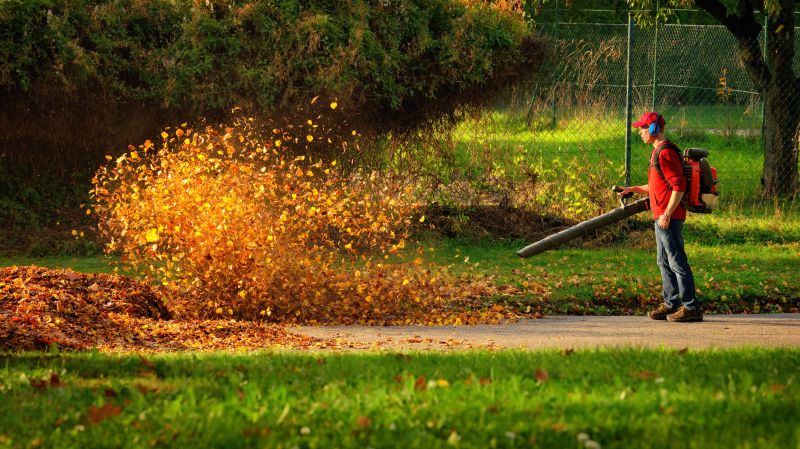 Fall Leaf Clean Up Service
