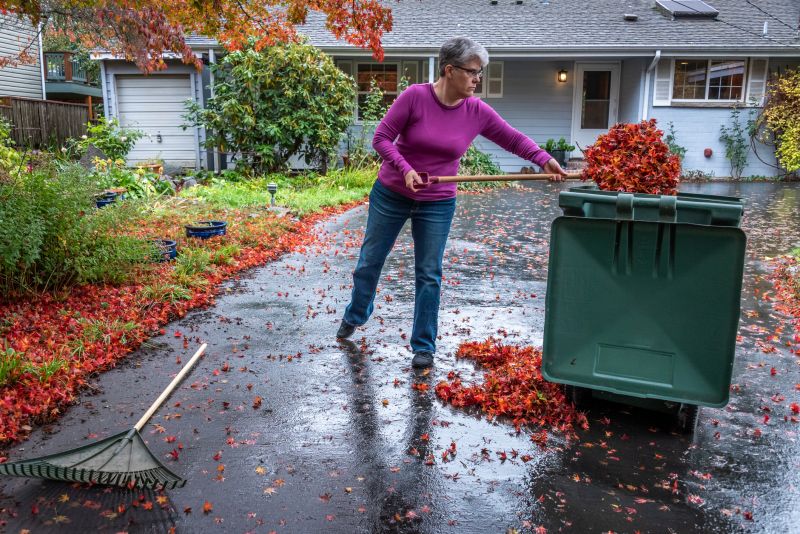 Why Fall And Spring Are The Best Times For Lawn Clean Up